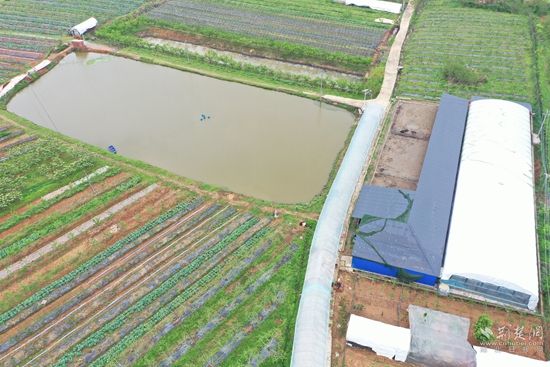 俯瞰海哥種養(yǎng)殖家庭農(nóng)場(chǎng) (1).jpg.jpg