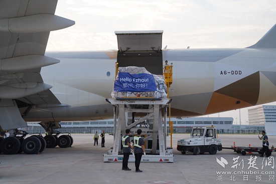 機務(wù)人員卸下貨物。金康 攝.jpeg