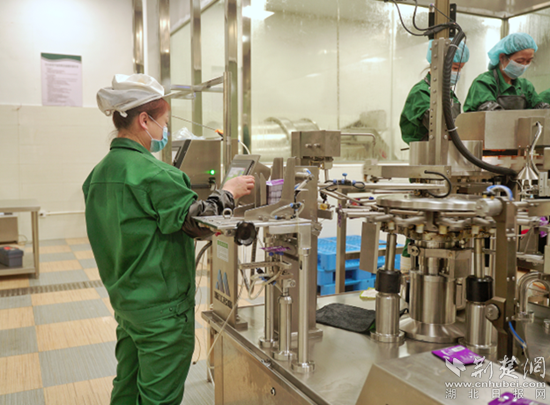 興龍生態(tài)觀光工廠。通訊員 劉承群 供圖_副本.png.png