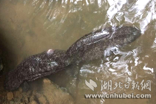 圖片1.jpg 圖片1.jpg