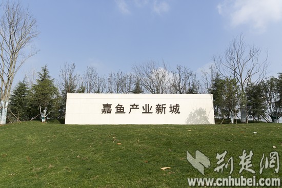 LO4A8721.jpg LO4A8721.jpg